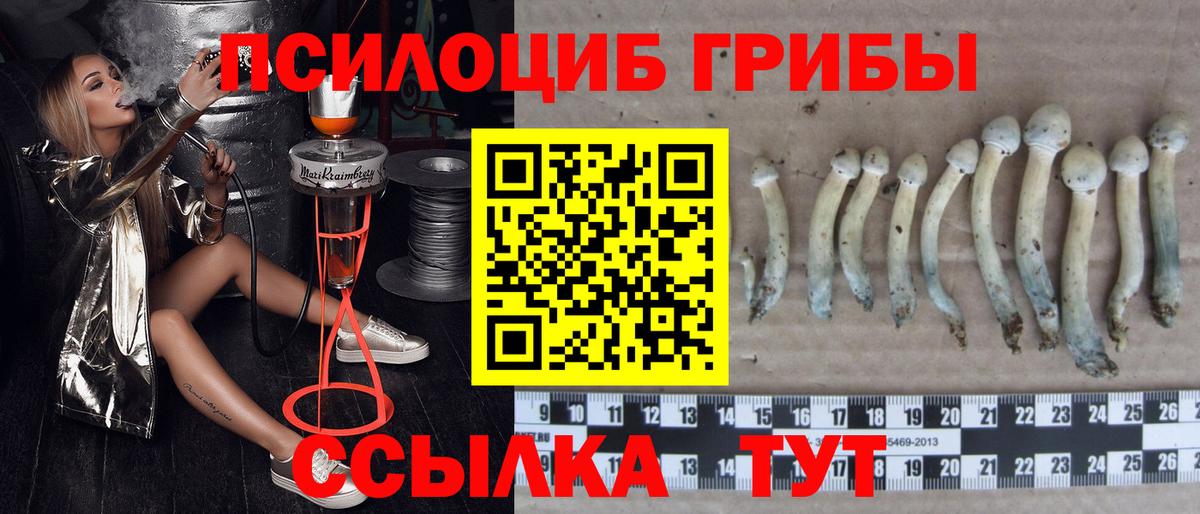 Галлюциногенные грибы мицелий  Вход с VPN  Галлюциногенные грибы Magic Shrooms  Красноярск 